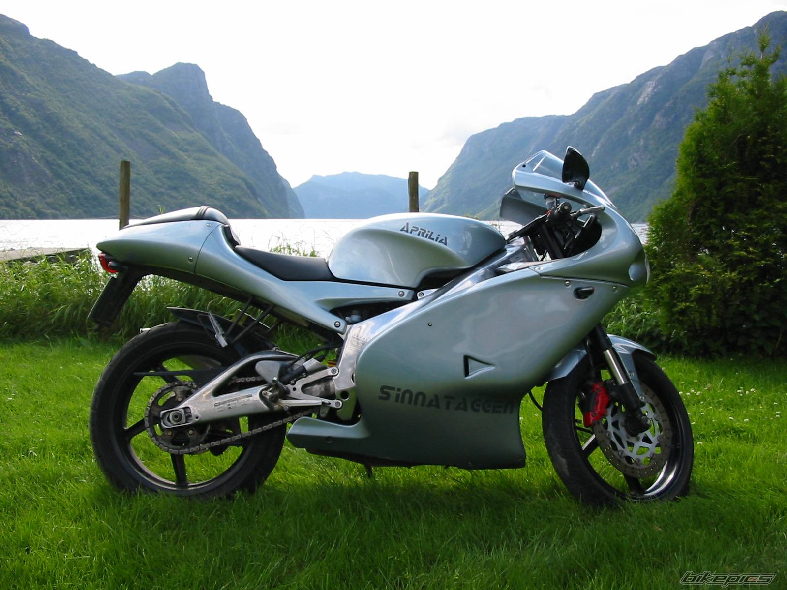 2001 APRILIA RS 125 | Picture 288334 motorcycle photo