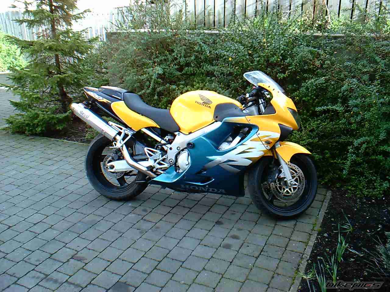 1999 HONDA CBR 600 | Picture 288514 motorcycle photo