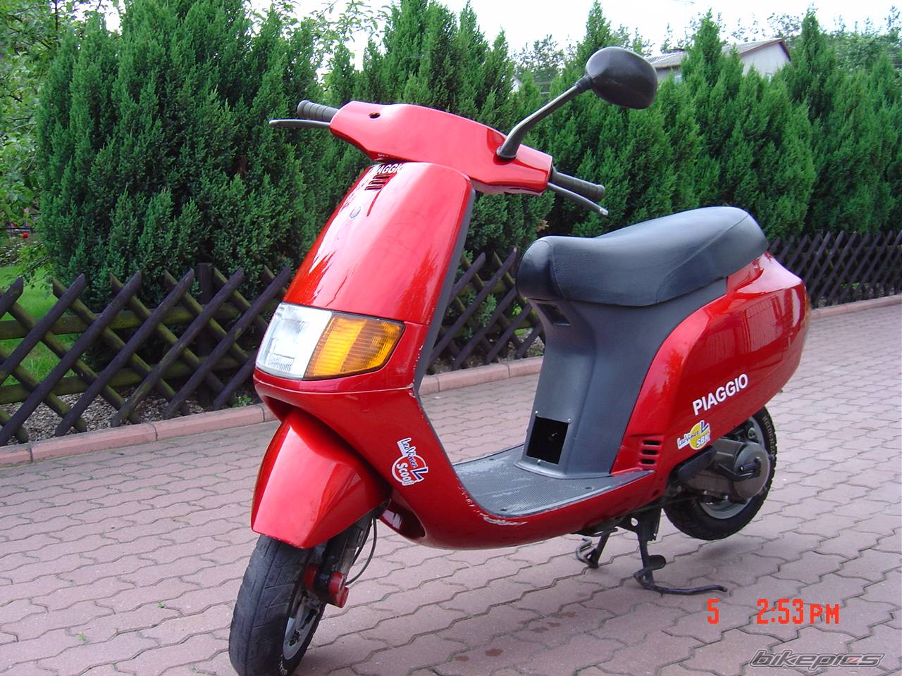 1995 PIAGGIO SFERA NSL 50 | Picture 288798 motorcycle photo