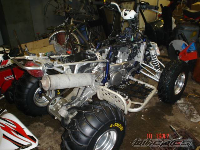 2005 SUZUKI LTZ 400 | Picture 289026 motorcycle photo