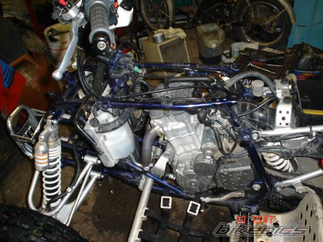2005 SUZUKI LTZ 400 | Picture 289028 motorcycle photo