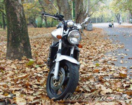 2004 HONDA CB 900 | Picture 289222 motorcycle photo