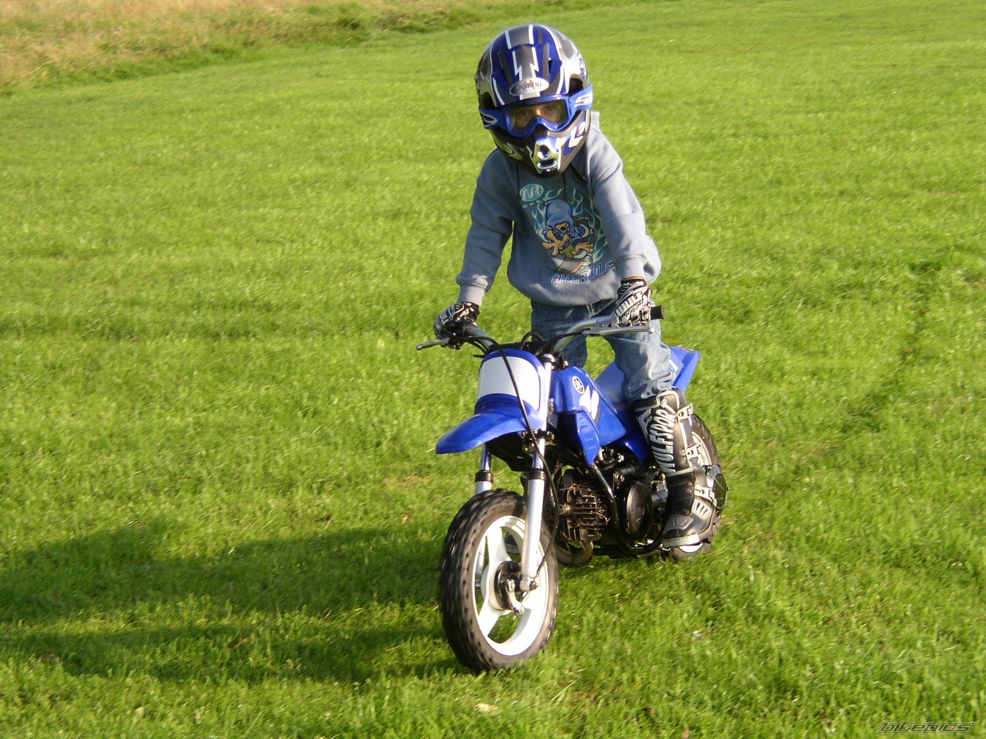 2004 YAMAHA PW 50 | Picture 289476 motorcycle photo