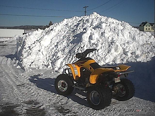2002 HONDA 300EX | Picture 290189 motorcycle photo