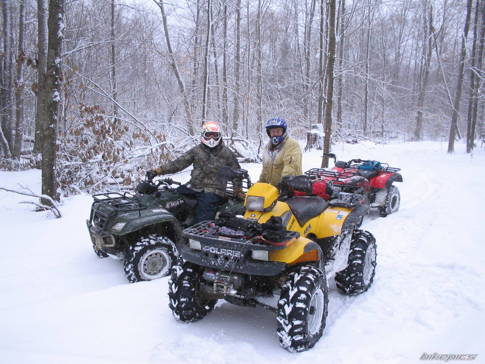 2000 POLARIS SPORTSMAN 335 | Picture 290207 motorcycle photo