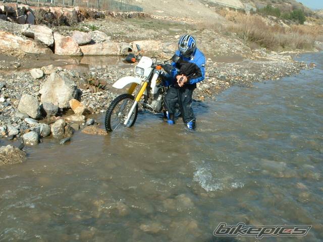 1999 SUZUKI DR 350 | Picture 290686 motorcycle photo