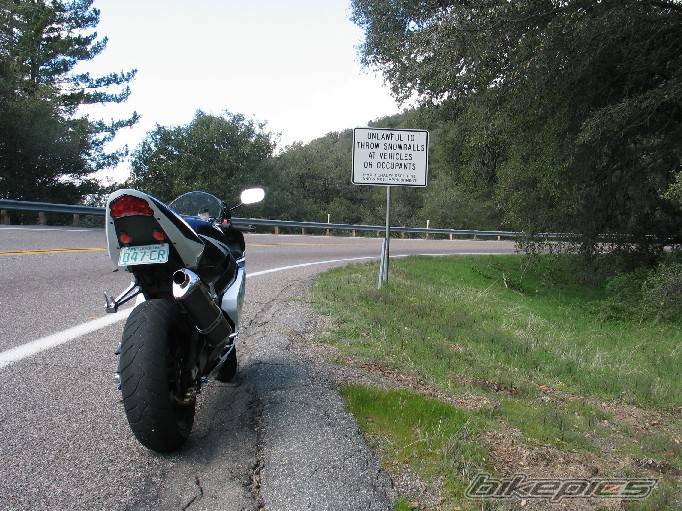 2004 SUZUKI GSX R 750 | Picture 290886 motorcycle photo