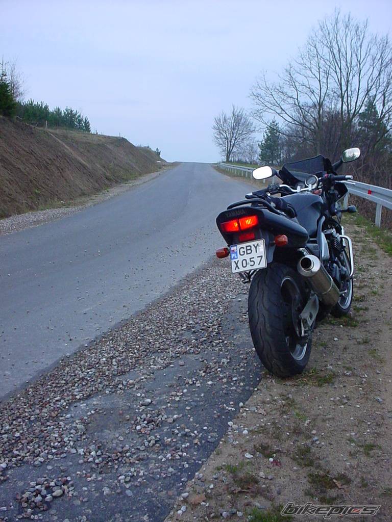 1998 YAMAHA FZS 600 FAZER | Picture 290930 motorcycle photo