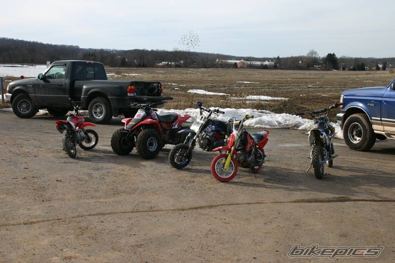 2005 HONDA CRF 50 | Picture 291184 motorcycle photo