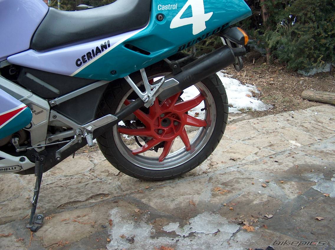 1992 APRILIA AF1 REPLICA 125 | Picture 291425 motorcycle photo