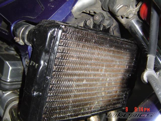 2005 HONDA CB 1 400 | Picture 291540 motorcycle photo