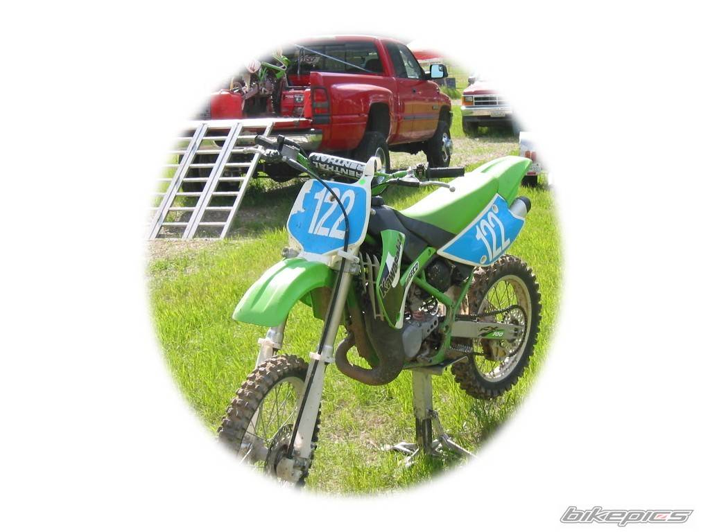 2001 KAWASAKI KX 100 | Picture 29156 motorcycle photo