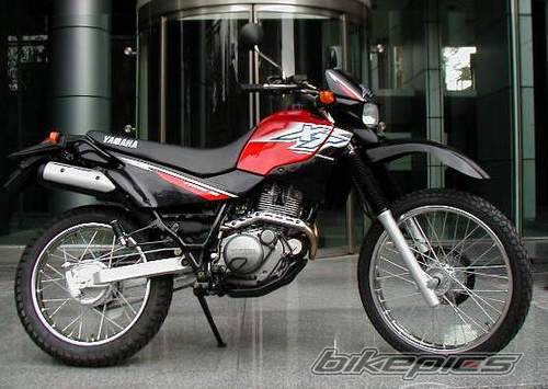 2000 YAMAHA XT 250 | Picture 29167 motorcycle photo