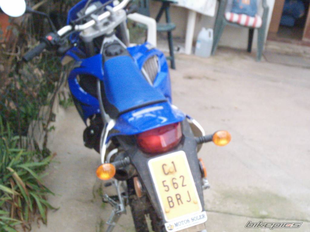 2005 MALAGUTI XTM 50 | Picture 291716 motorcycle photo