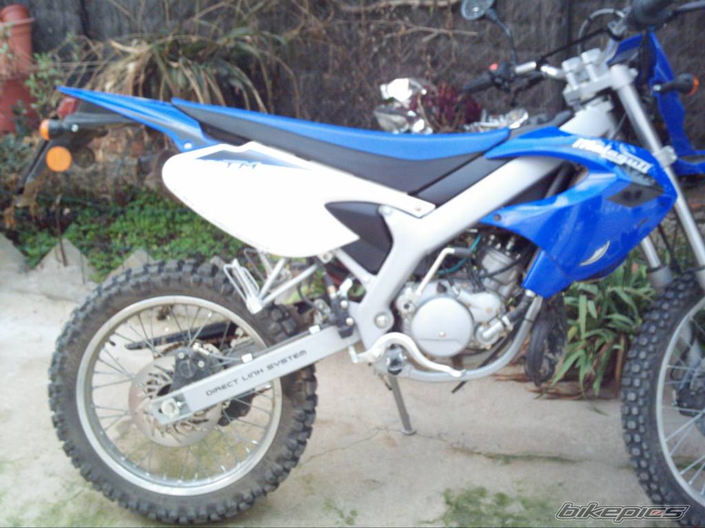 2005 MALAGUTI XTM 50 | Picture 291720 motorcycle photo