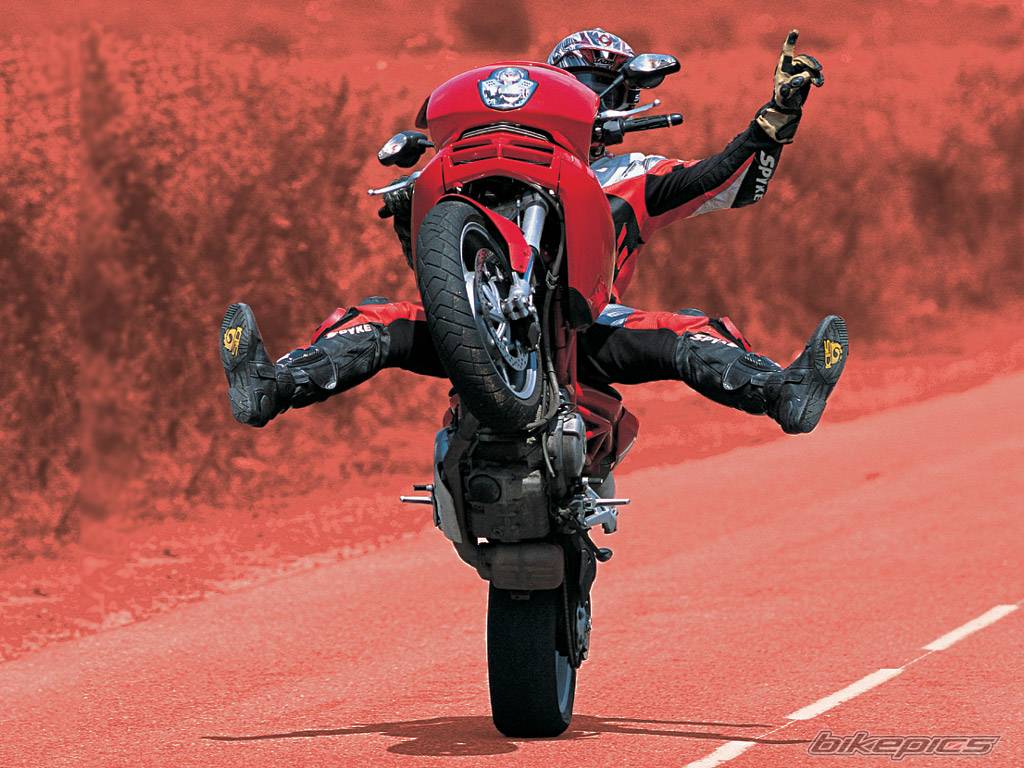 2005 DUCATI DS 1000 MULTISTRADA | Picture 291744 motorcycle photo