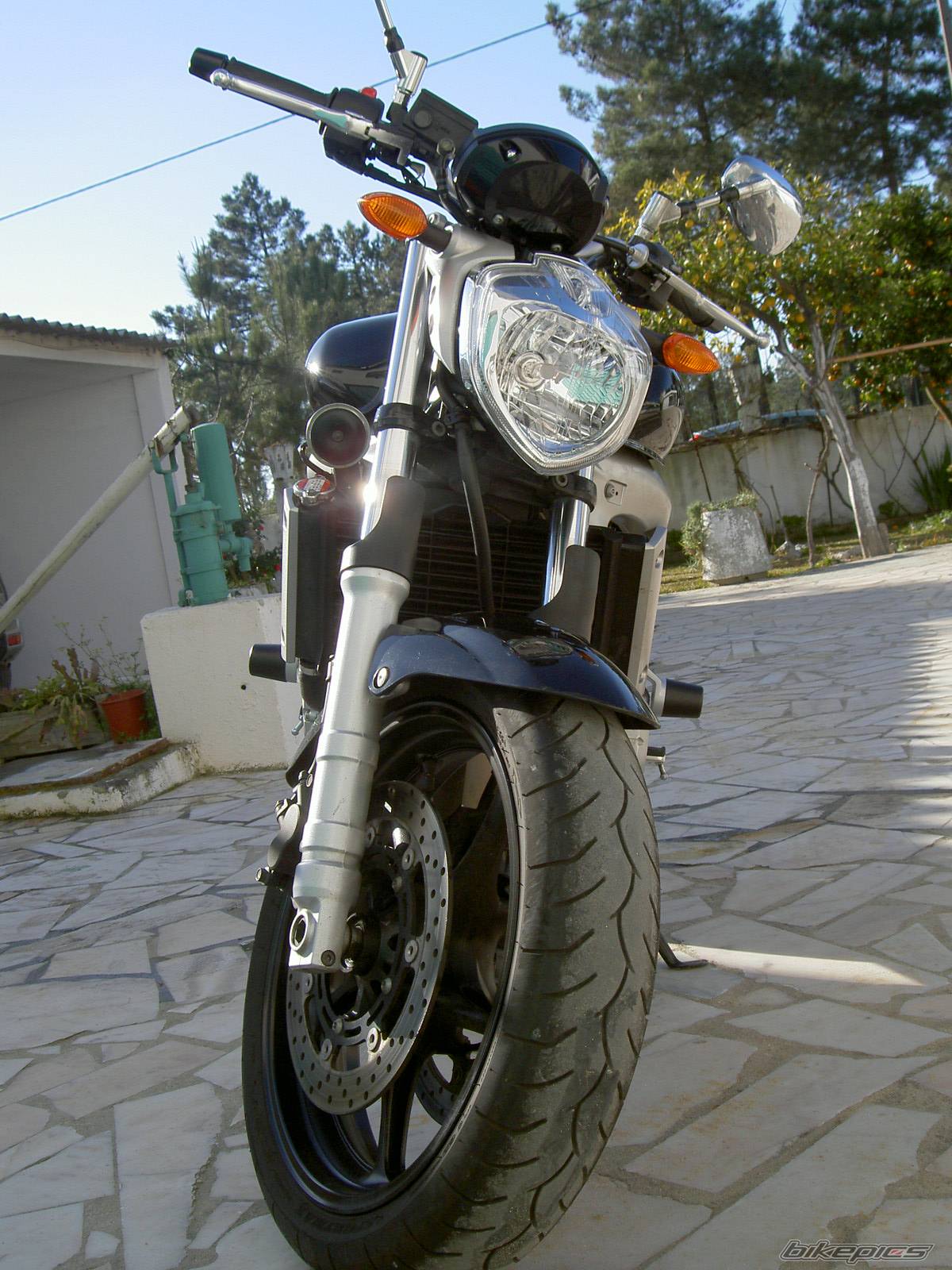 2004 YAMAHA FZ6 FAZER | Picture 291898 motorcycle photo
