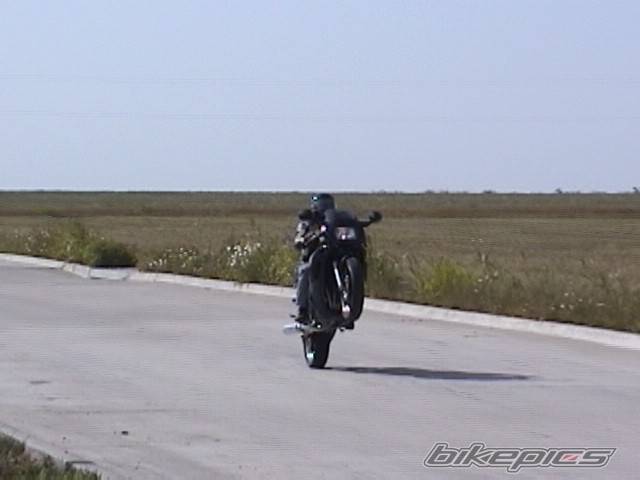 2002 YAMAHA YZF R1 | Picture 29206 motorcycle photo