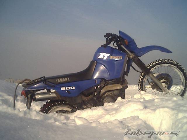 1991 YAMAHA XT 600 | Picture 292968 motorcycle photo