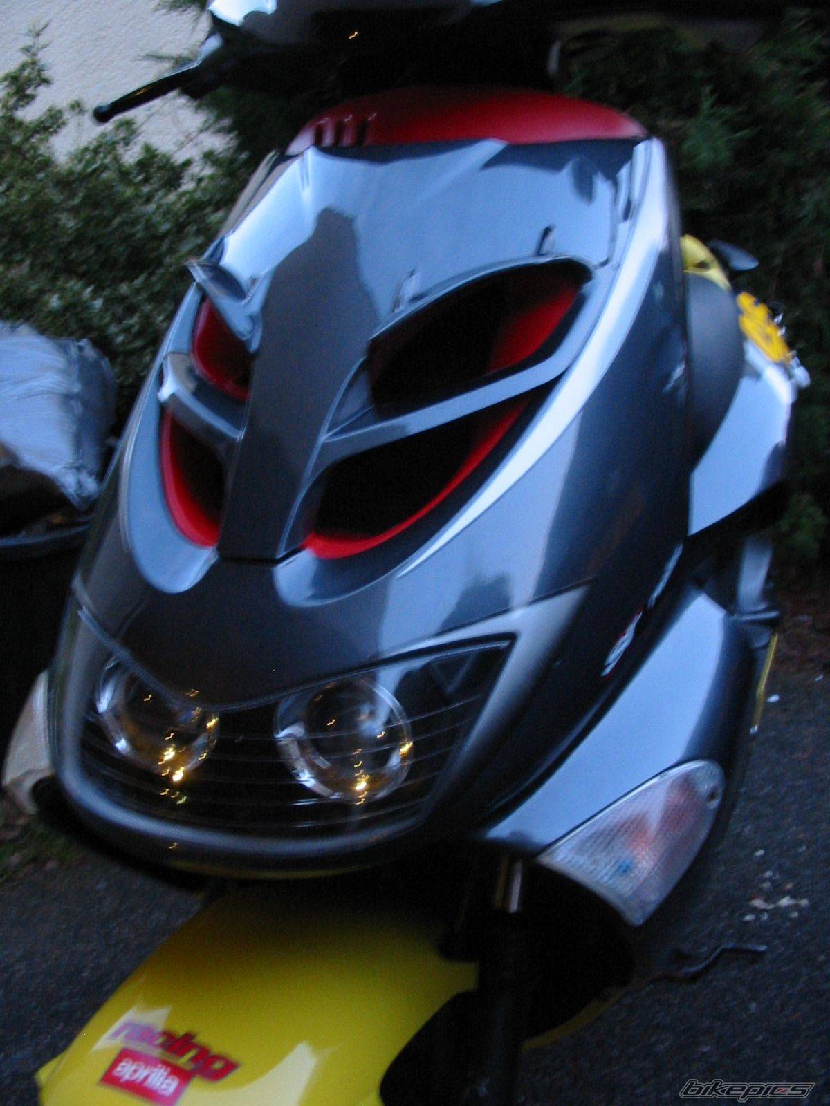 2002 APRILIA SR RACING 50 | Picture 293018 motorcycle photo