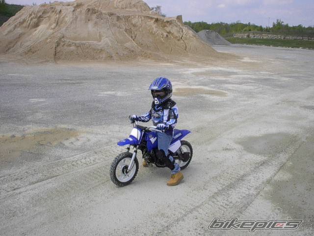 2004 YAMAHA PW 50 | Picture 293347 motorcycle photo