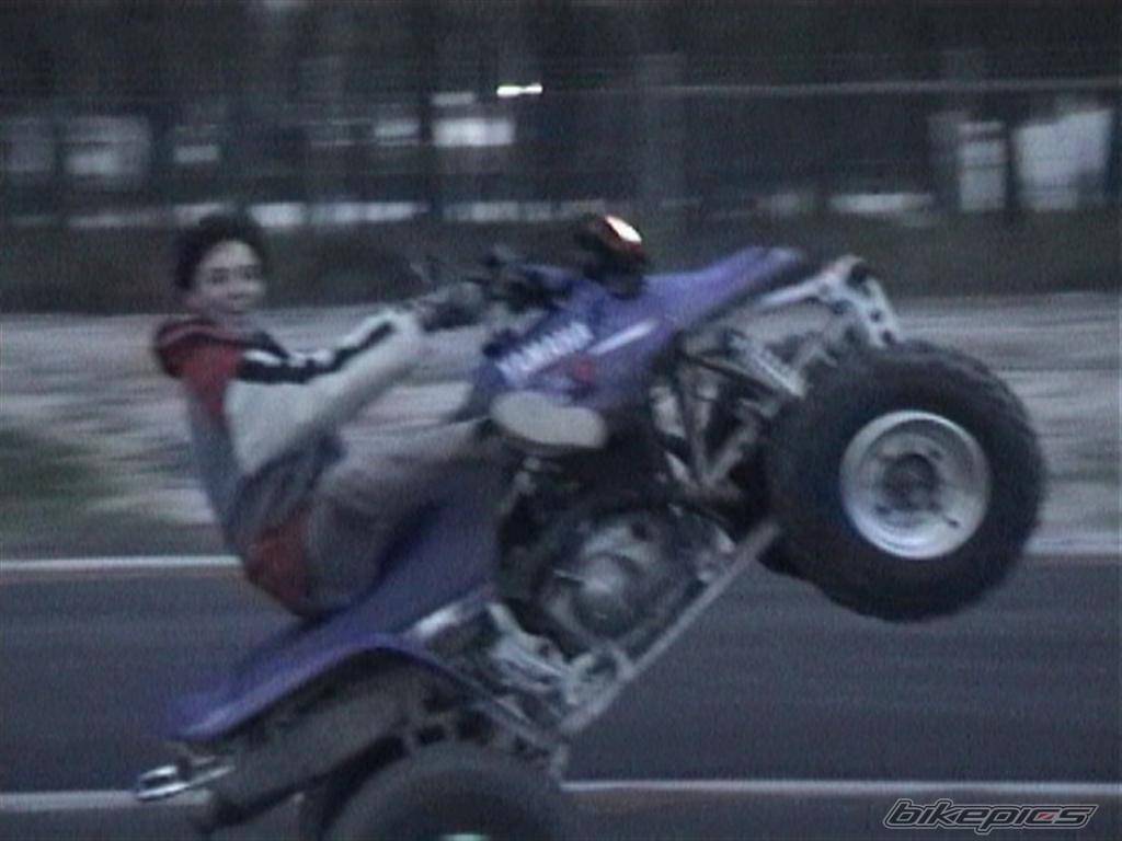2001 YAMAHA WARRIOR | Picture 293447 motorcycle photo