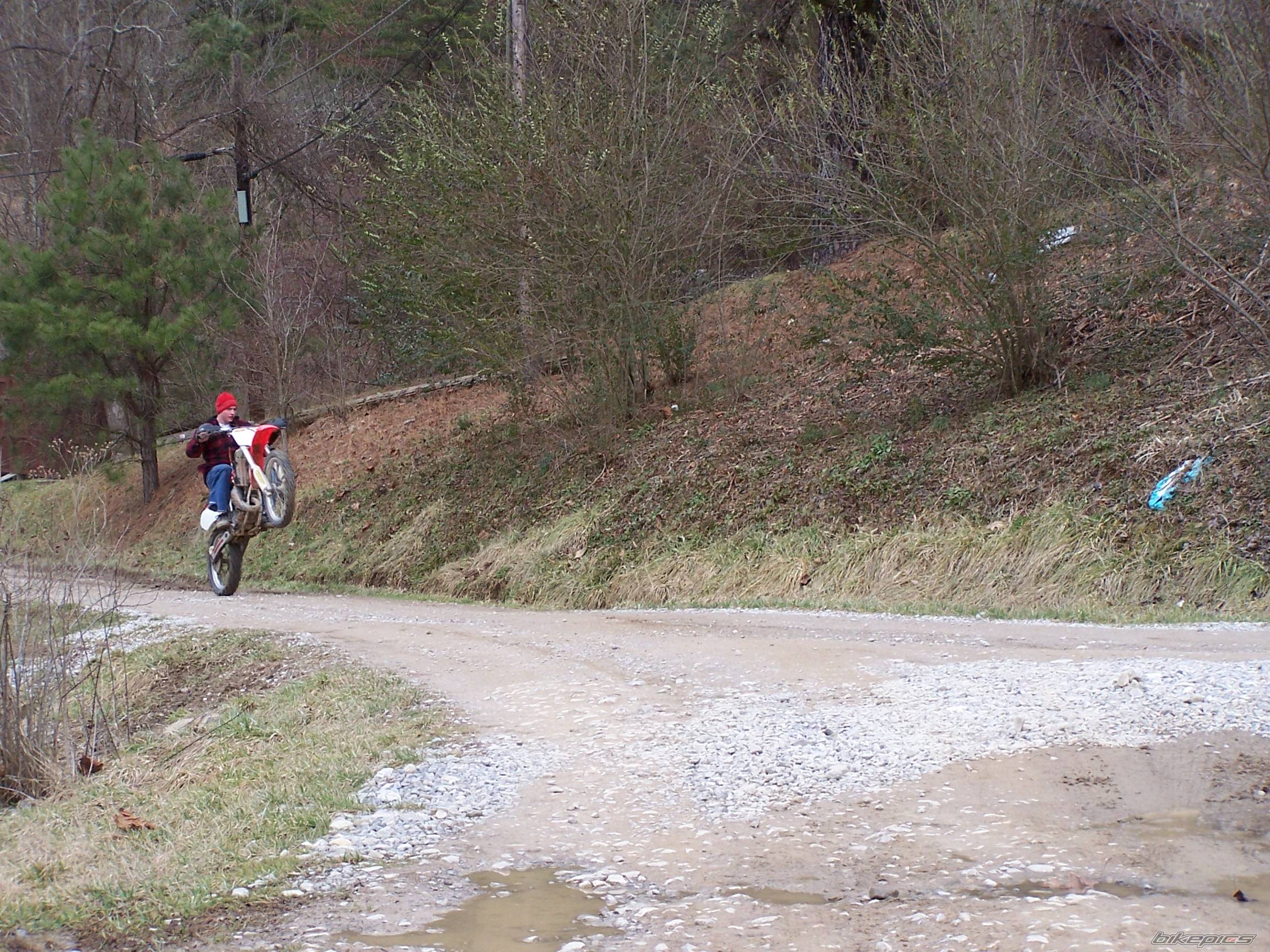 1997 HONDA CR 125 | Picture 293561 motorcycle photo