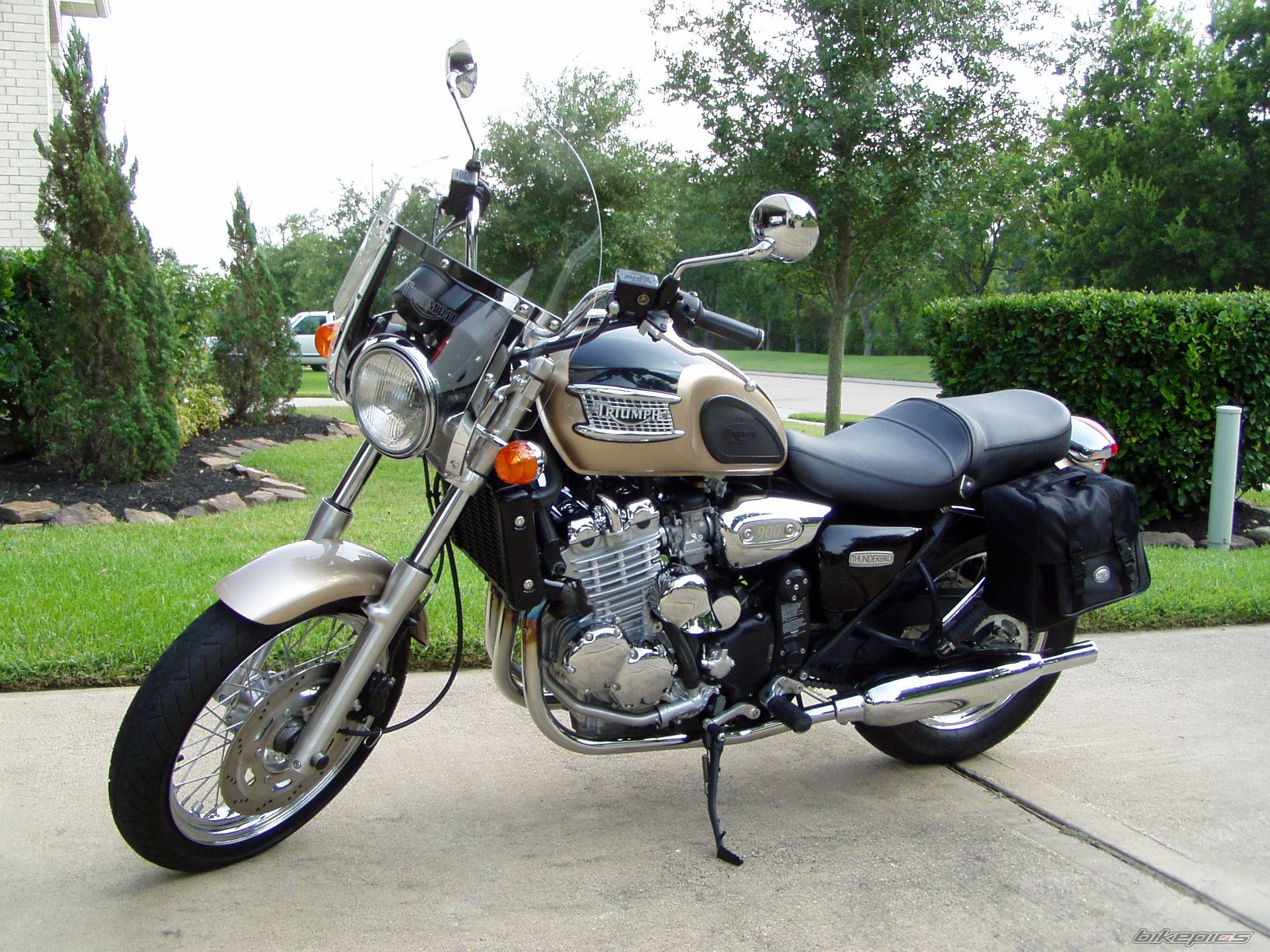 2001 TRIUMPH THUNDERBIRD | Picture 293647 motorcycle photo