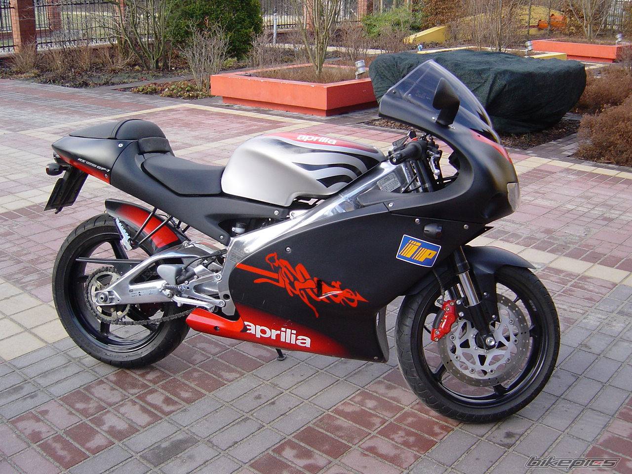 2003 APRILIA RS 125 | Picture 293723 motorcycle photo