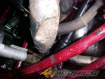 1996 YAMAHA BANSHEE | Picture 293850 motorcycle photo