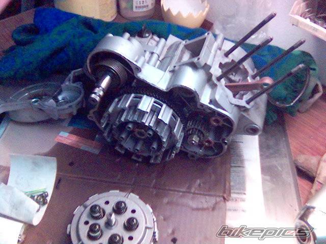 2003 DERBI SENDA RACER 50 | Picture 293856 motorcycle photo