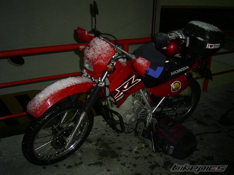 2004 HONDA XL 200 | Picture 293888 motorcycle photo