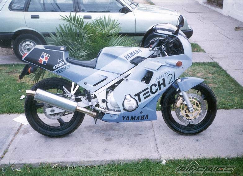 1989 YAMAHA FZR 250 | Picture 29424 motorcycle photo