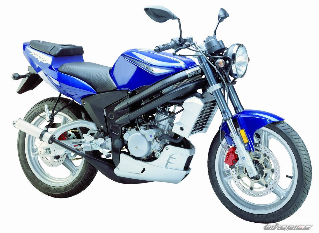 2004 RIEJU RS2 NKD | Picture 294295 motorcycle photo