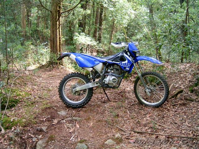 2003 AJP PR4 125 | Picture 294296 motorcycle photo