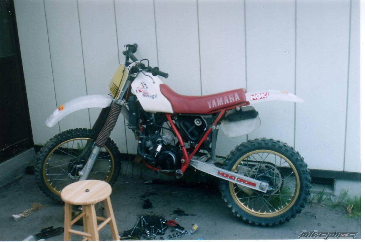 1984 YAMAHA YZ 125 | Picture 294604 motorcycle photo