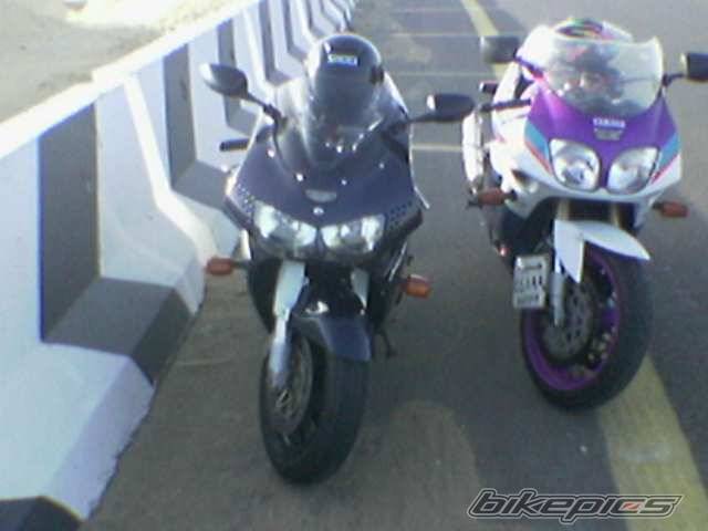 1999 HONDA CBR 900 | Picture 294992 motorcycle photo
