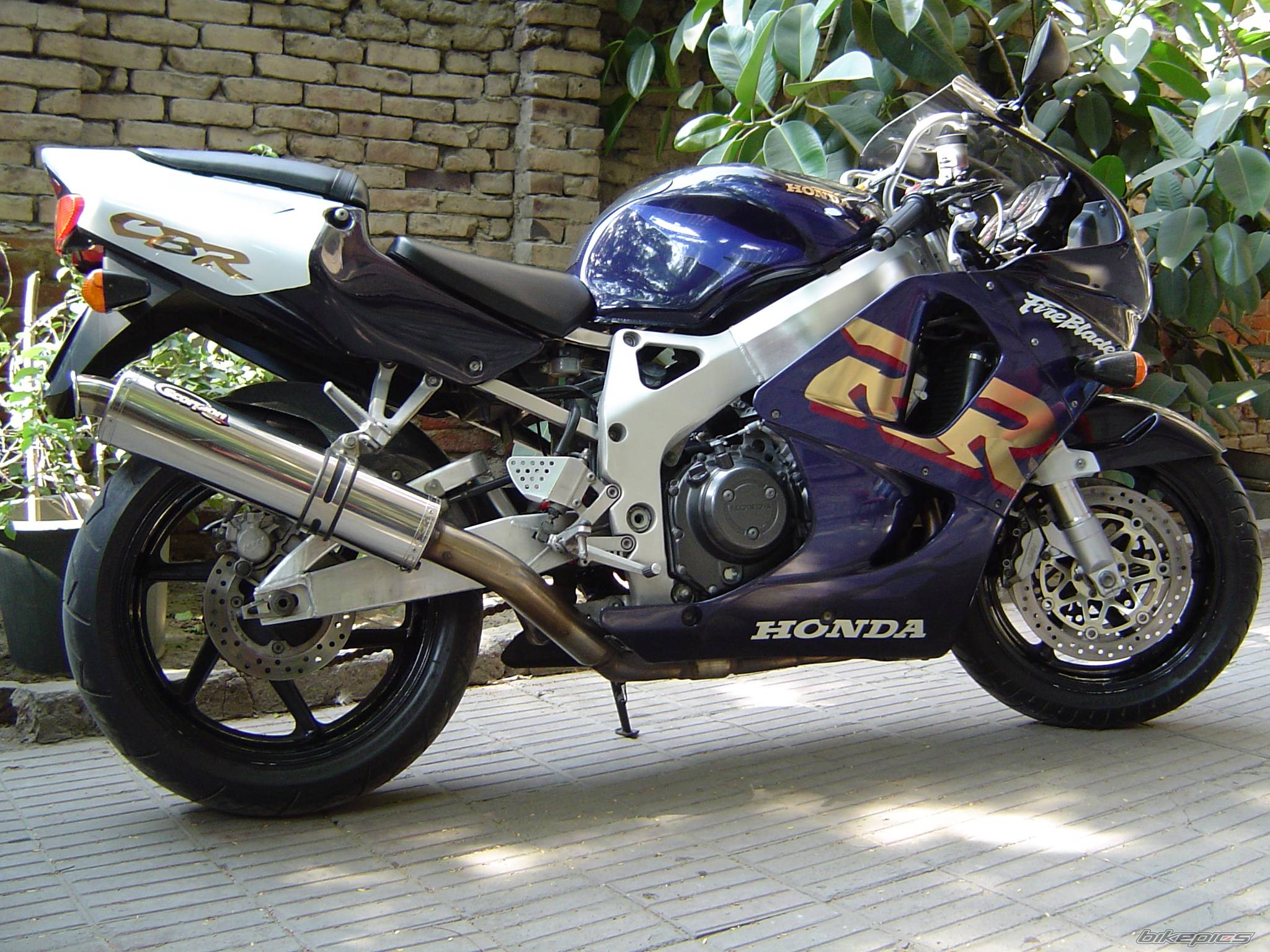 1999 HONDA CBR 900 | Picture 294999 motorcycle photo