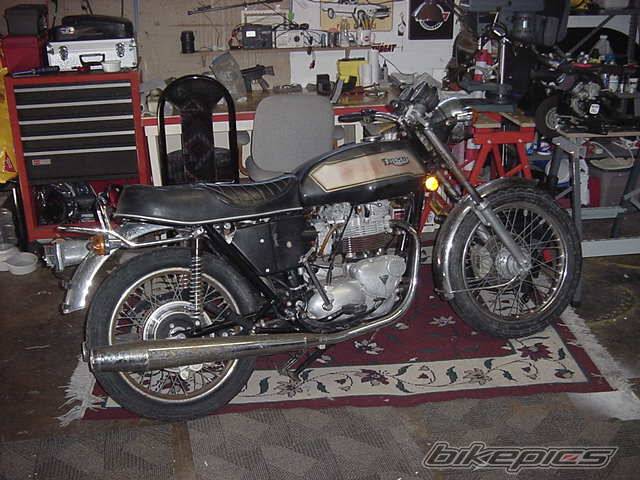 1979 TRIUMPH BONNEVILLE | Picture 295169 motorcycle photo