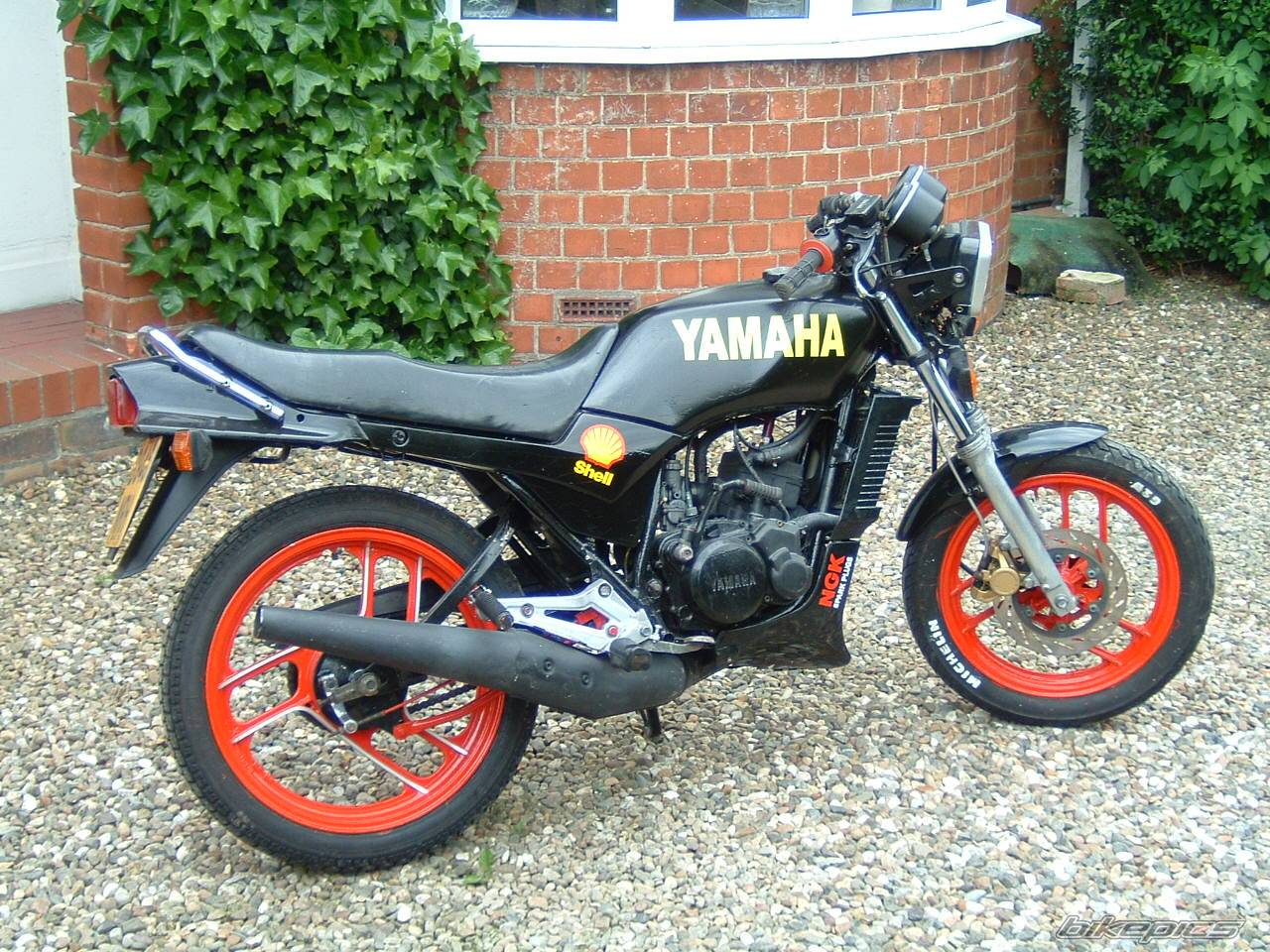 1987 YAMAHA RD 125 | Picture 295172 motorcycle photo