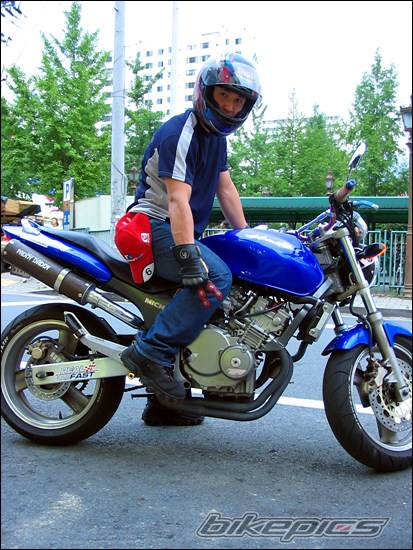 1997 HONDA CB 250 HORNET | Picture 295174 motorcycle photo