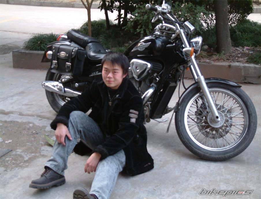1994 HONDA STEED 400 | Picture 295257 motorcycle photo