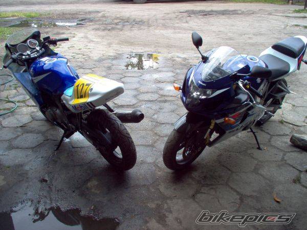 2004 SUZUKI GSX R 750 | Picture 295321 motorcycle photo