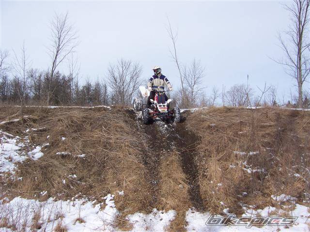 1999 YAMAHA BANSHEE | Picture 295387 motorcycle photo