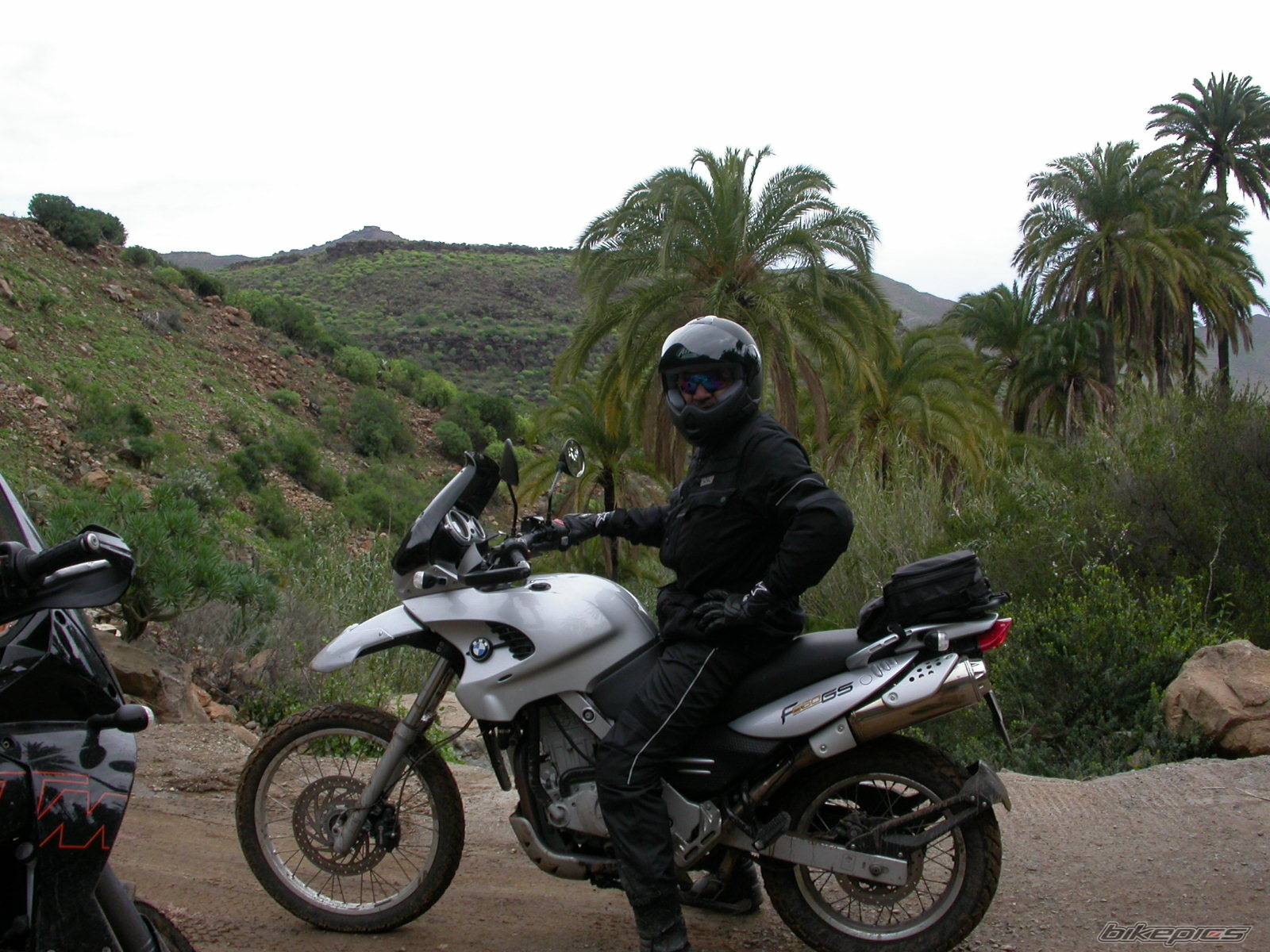 2003 BMW F 650 GS DAKAR | Picture 295497 motorcycle photo