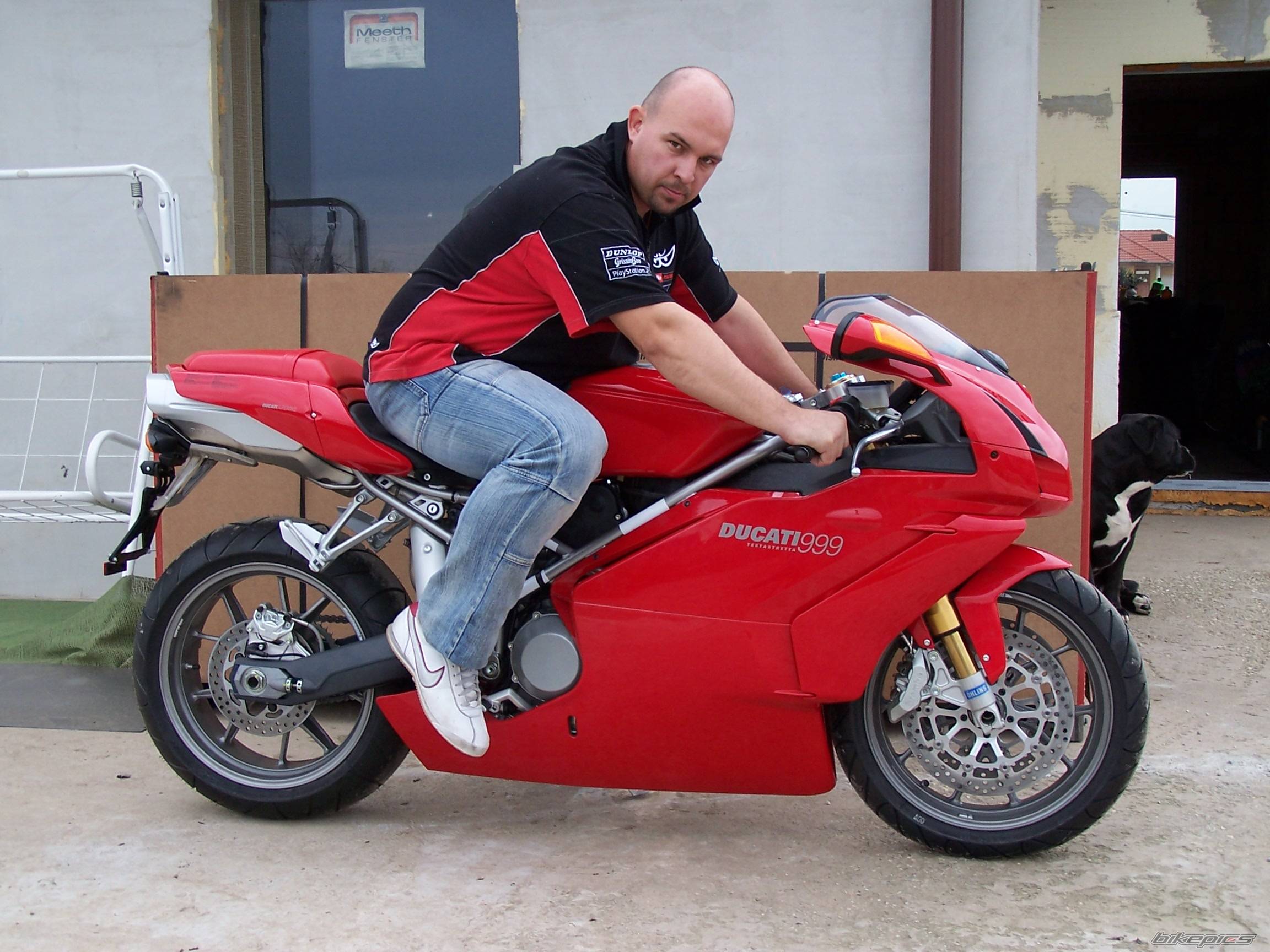 2004 DUCATI 999 | Picture 295512 motorcycle photo