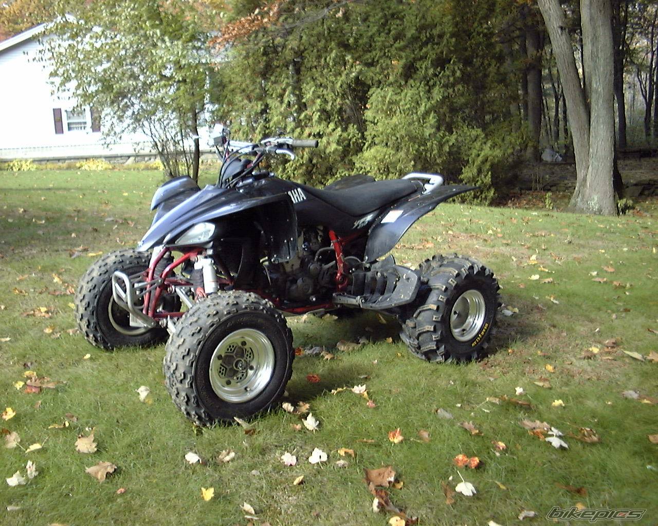 2004 YAMAHA RAPTOR YFZ 450 | Picture 295659 motorcycle photo