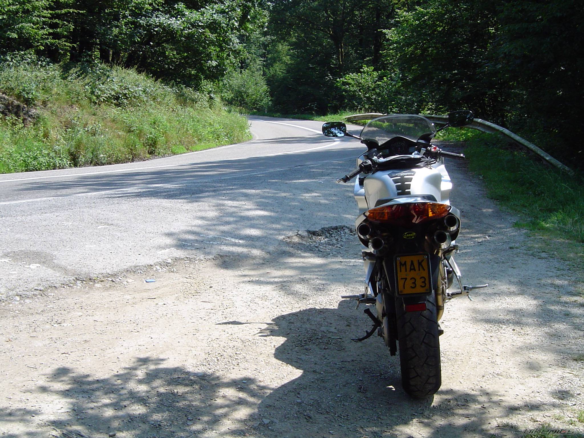 2004 HONDA VFR 800 | Picture 296168 motorcycle photo