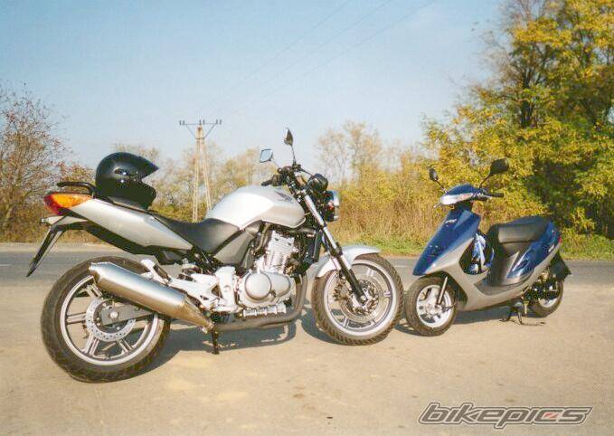 2005 HONDA CBF 500 | Picture 296540 motorcycle photo