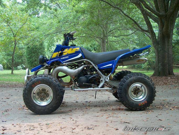 2000 YAMAHA BANSHEE | Picture 296823 motorcycle photo